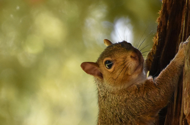 STRATEGY AND ACTION-Guangdong Handar